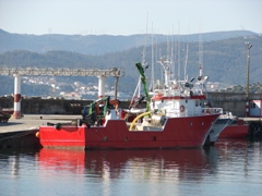 Galicia: Fishing boat in the harbour