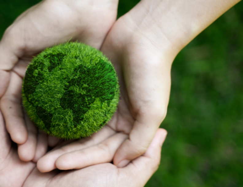 A photograph of hands holding a miniature green globe