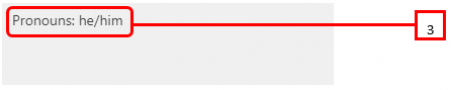 Screenshot of Step 3 highlighting an example of how to word Pronouns to he/him