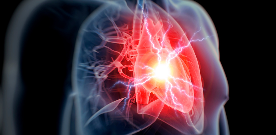 Heart health research