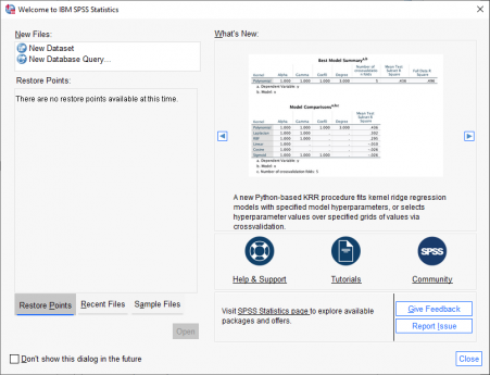 Opening screen of SPSS