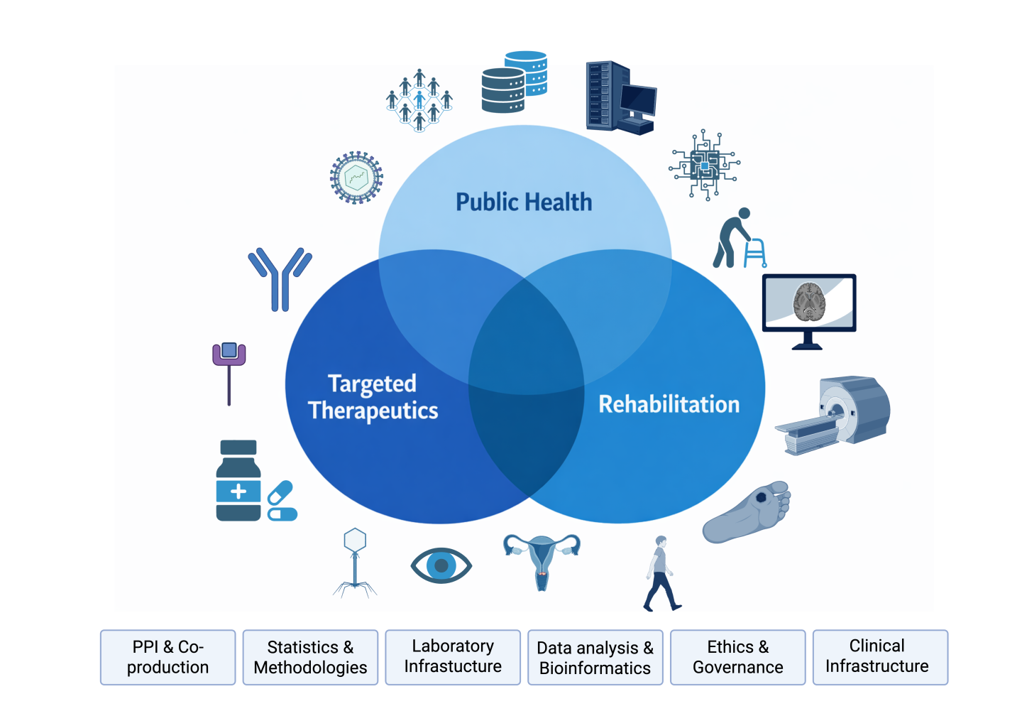 Graphic of the ReaCH research themes: Targeted therapeutics, Rehabilitation and Public health. with associated enablers PPI and co-production, statistics and methodologies, laboratory infrastructure, data analysis and bioinformatics, ethics and governance, and clinical infrastructure
