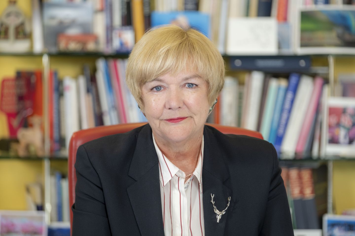 Professor Pamela Gillies