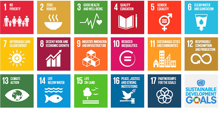 Sustainable development goals logo